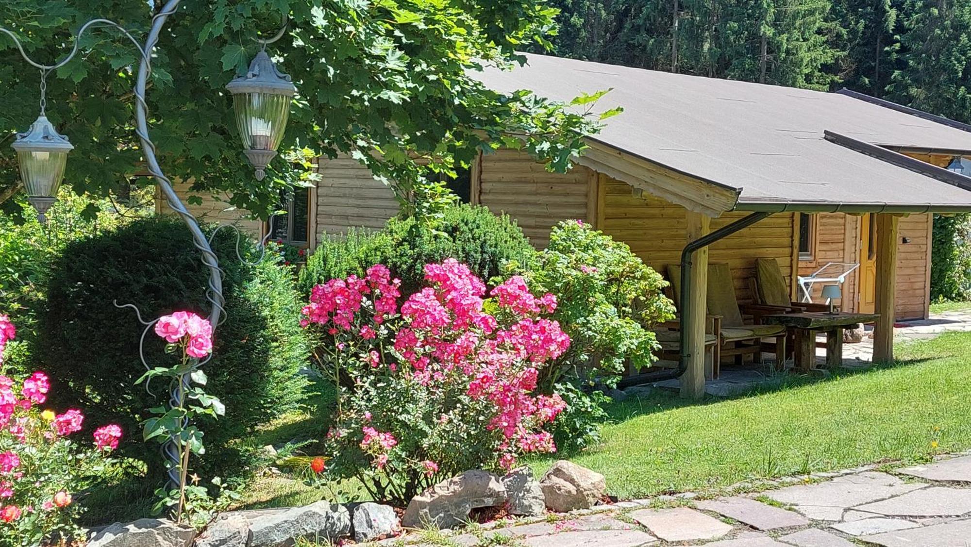 Gartenhotel Rosenhof Bei Kitzbuehel Oberndorf in Tirol Εξωτερικό φωτογραφία