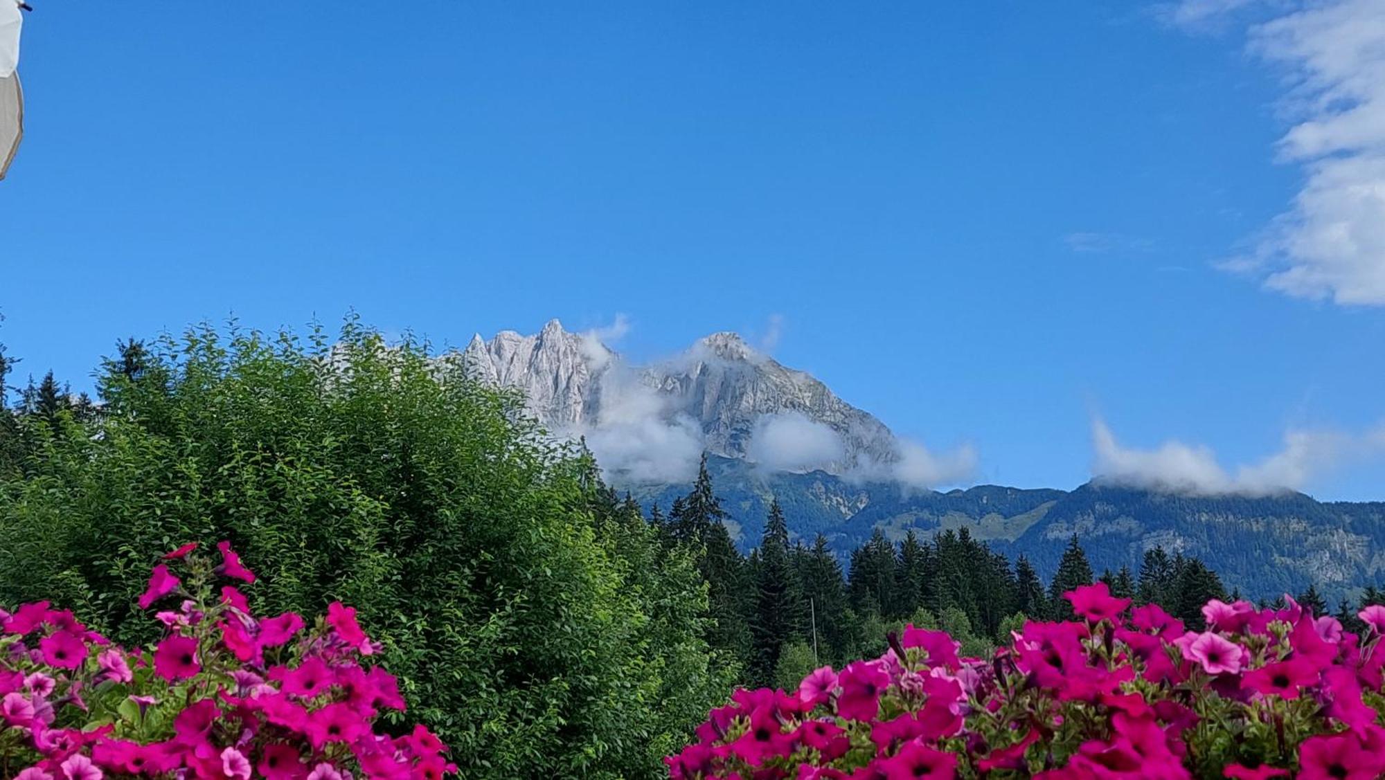 Gartenhotel Rosenhof Bei Kitzbuehel Oberndorf in Tirol Εξωτερικό φωτογραφία